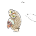 owl